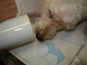 dsc01380.jpg