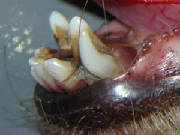 dsc02026.jpg