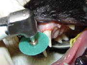 dsc02122.jpg