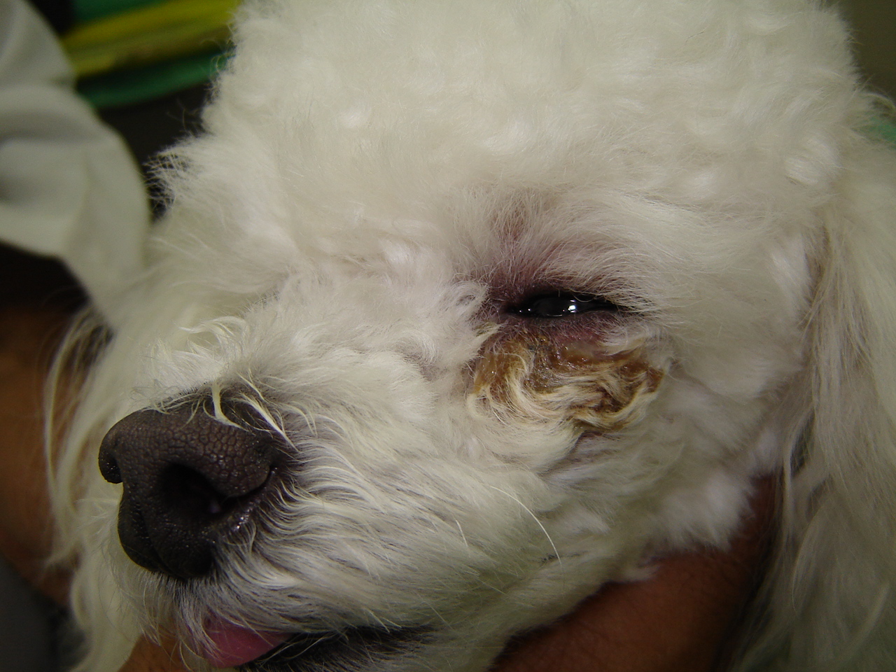 dsc05459.jpg